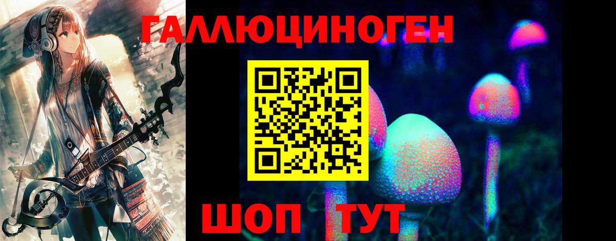 где найти   Псилоцибиновые грибы мицелий  Вход с VPN  Будённовск 